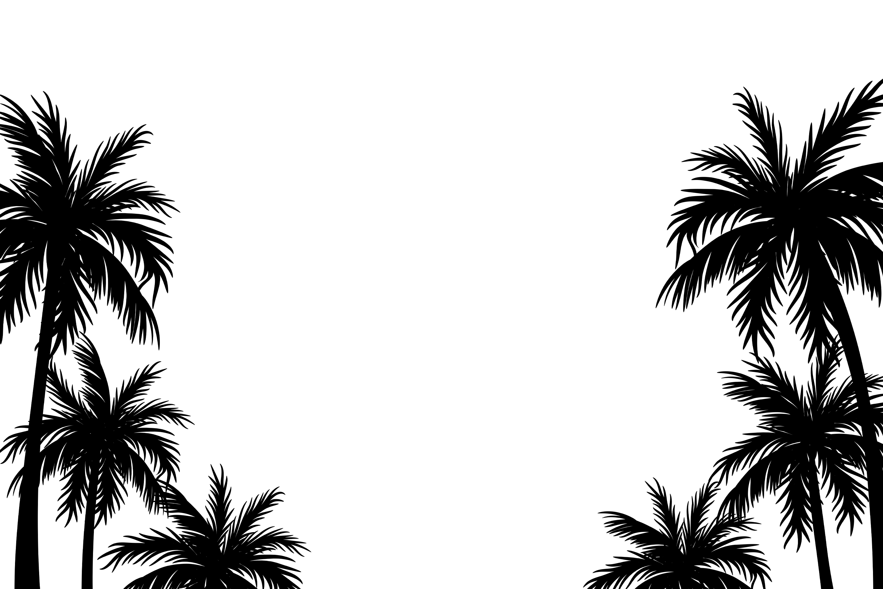 Palm tree silhouette
